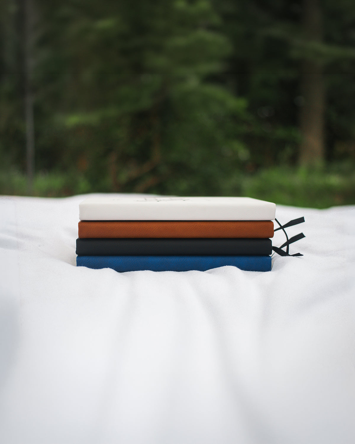 Liturgical Living Prayer Journal
